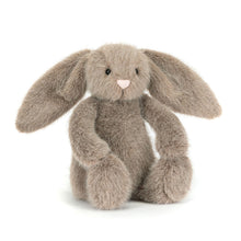 Load image into Gallery viewer, Flufflet Bunny (Asst)