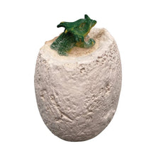 Load image into Gallery viewer, Dinosaur Excavation Kit
