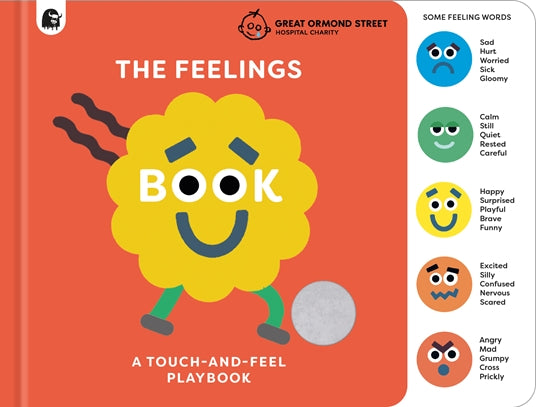 Feelings Book:  Touch and Feel