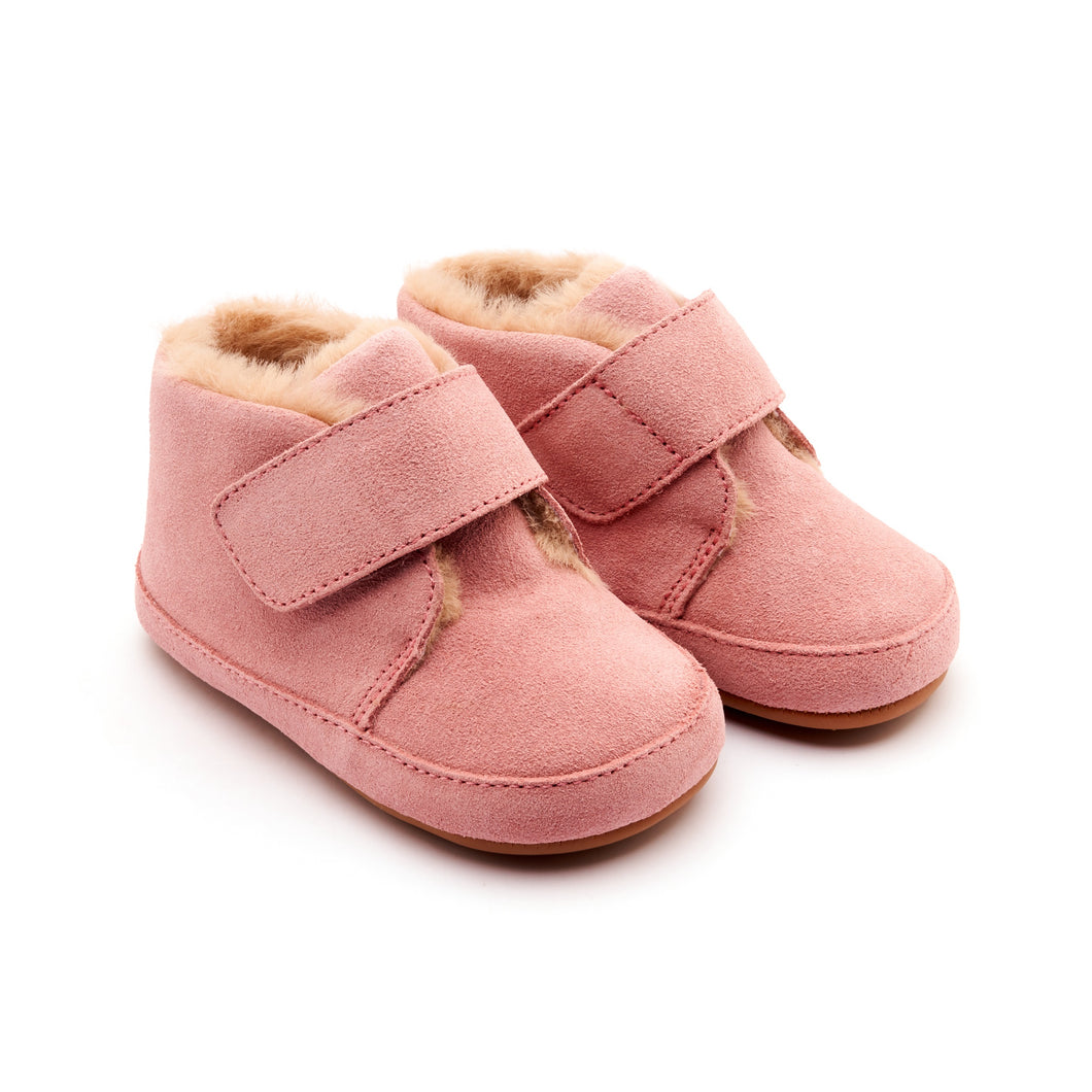 Shoofly Suede