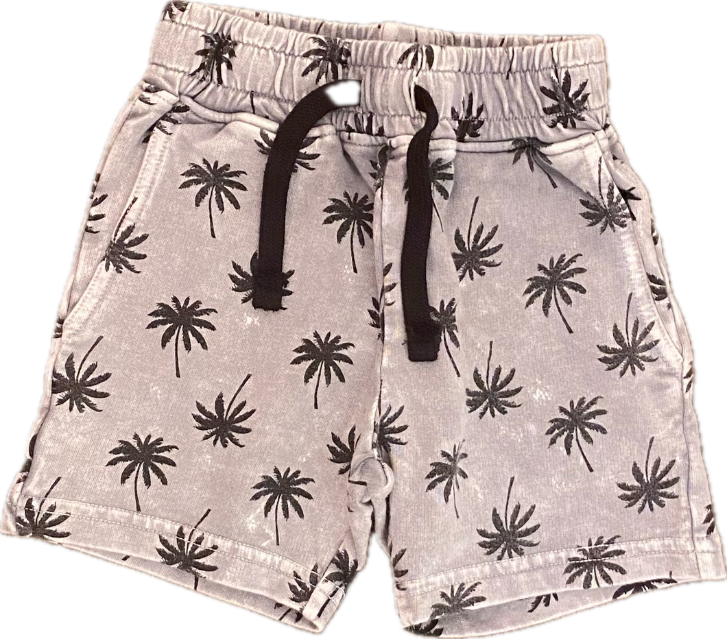 Palm Enzyme Shorts