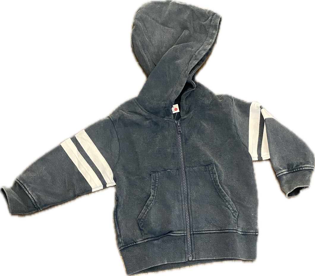 Enzyme Stripe Zip Hoodie
