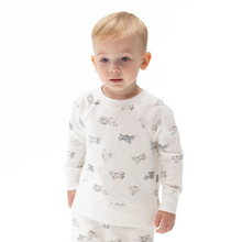 Load image into Gallery viewer, Vintage Airplane Raglan Shirt and Jogger
