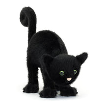 Load image into Gallery viewer, Spookipaws Cat
