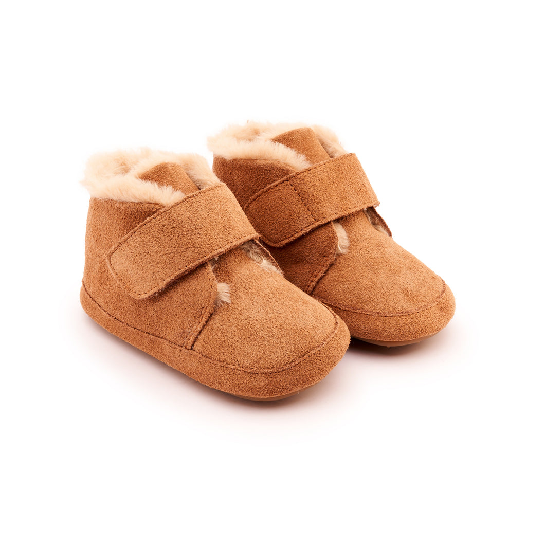 Shoofly Suede