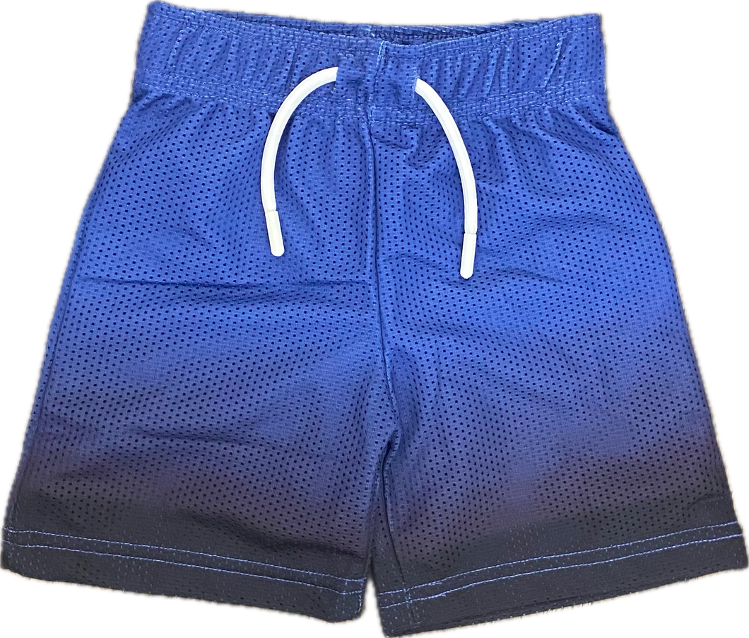 Cobalt Gradient Mesh Shorts