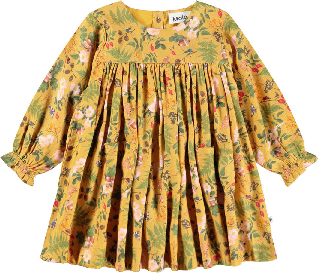 Foraging Claire Dress