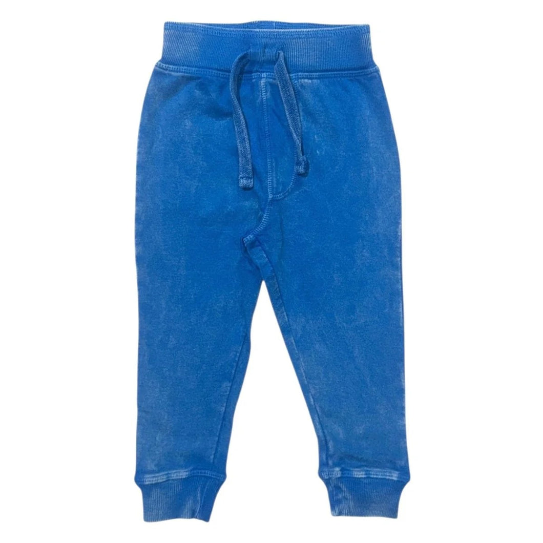 Cobalt Enzyme Jogger Pants