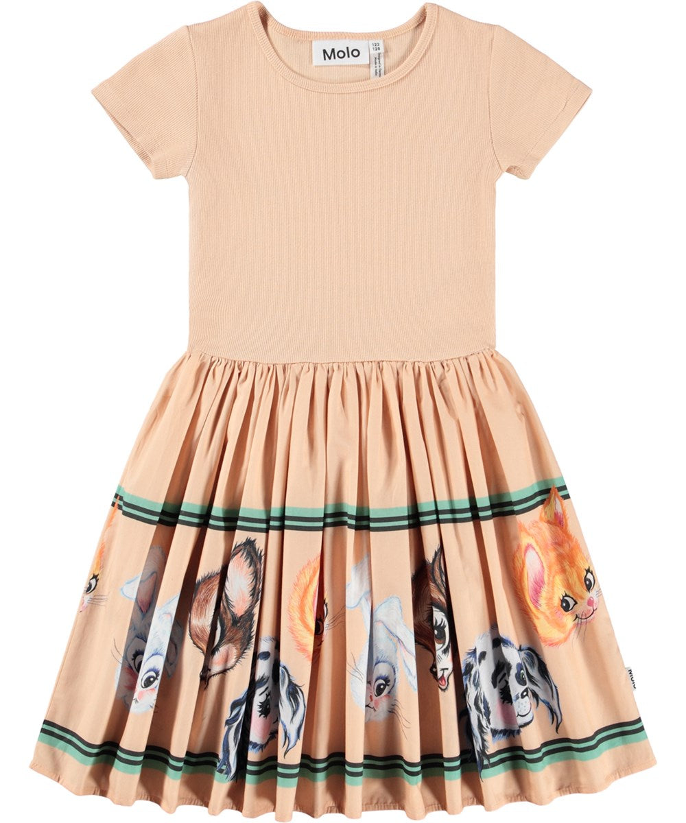 Nostalgia Cissa Dress