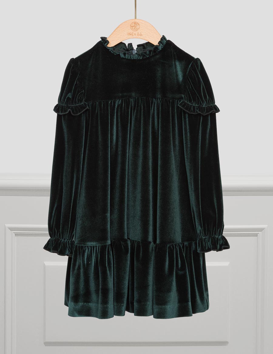 Bottle Green Velvet Dress  Picnic Brooklyn