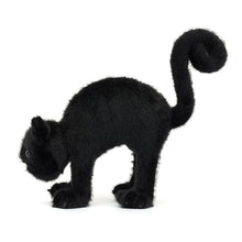 Load image into Gallery viewer, Spookipaws Cat
