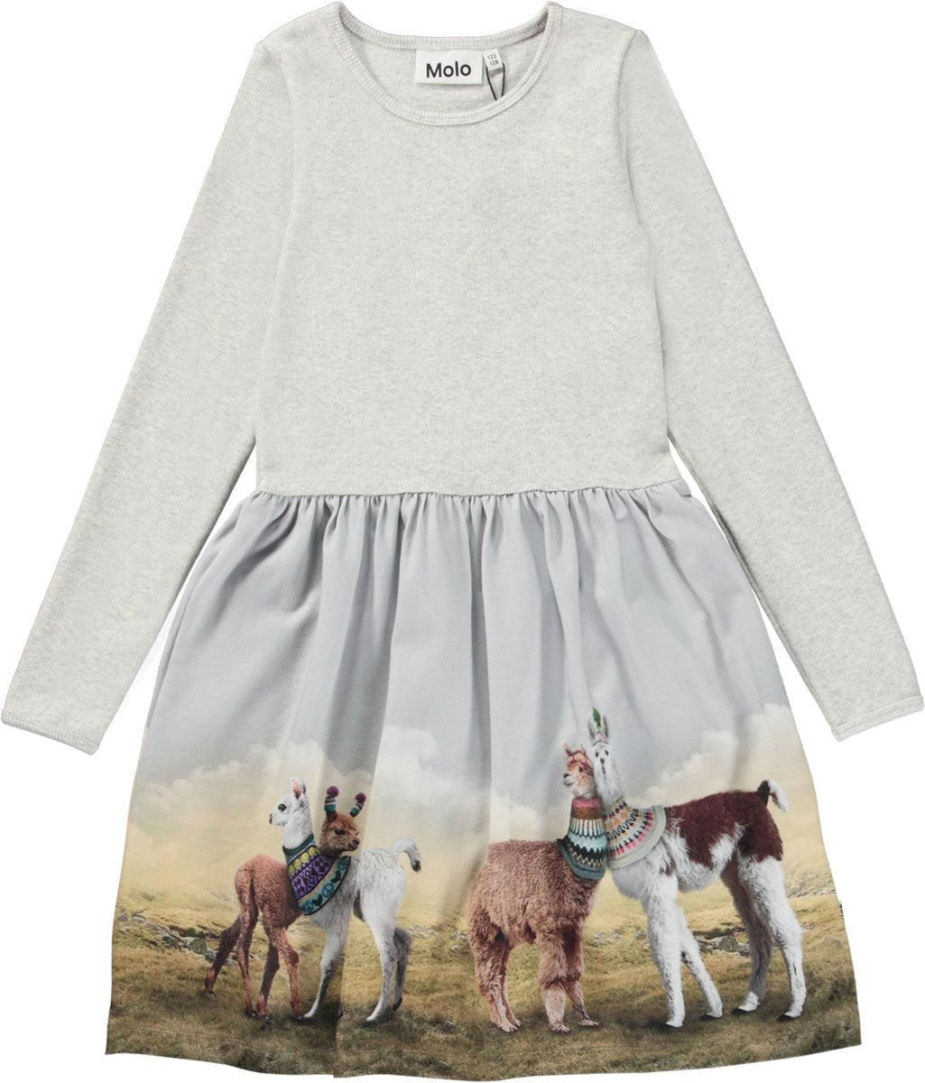 Credence LS Knit Dress